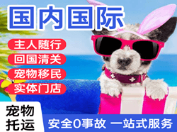 阿拉善左旗巴彦浩特空运公司国际宠物托运 【国